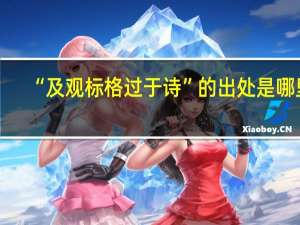 “及观标格过于诗”的出处是哪里
