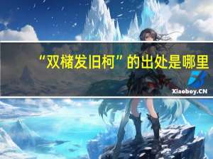 “双槠发旧柯”的出处是哪里