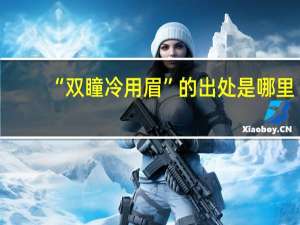 “双瞳冷用眉”的出处是哪里