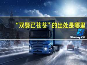 “双鬓已苍苍”的出处是哪里