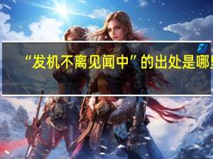 “发机不离见闻中”的出处是哪里