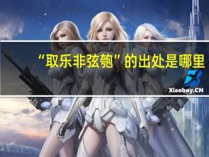 “取乐非弦匏”的出处是哪里