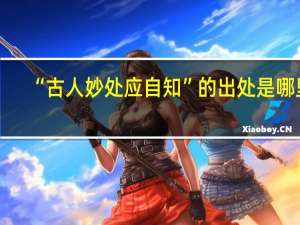 “古人妙处应自知”的出处是哪里