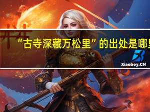 “古寺深藏万松里”的出处是哪里