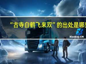 “古寺白鹤飞来双”的出处是哪里