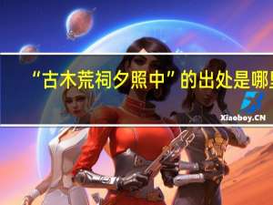 “古木荒祠夕照中”的出处是哪里