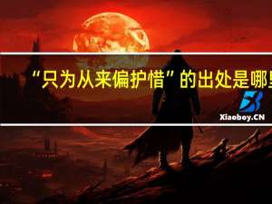 “只为从来偏护惜”的出处是哪里