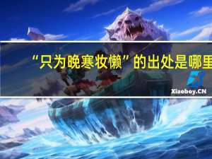 “只为晚寒妆懒”的出处是哪里