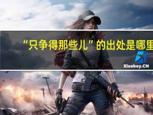 “只争得那些儿”的出处是哪里