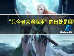 “只今老大将底用”的出处是哪里