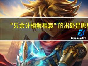 “只余计相解相哀”的出处是哪里