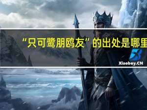 “只可鹭朋鸥友”的出处是哪里