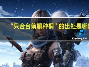 “只合台前賸种桐”的出处是哪里