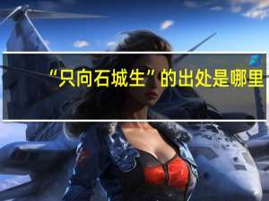 “只向石城生”的出处是哪里