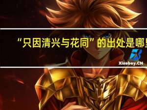 “只因清兴与花同”的出处是哪里