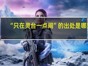 “只在灵台一点间”的出处是哪里