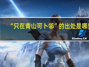 “只在青山可卜邻”的出处是哪里
