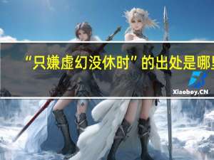 “只嫌虚幻没休时”的出处是哪里