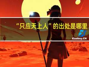 “只应天上人”的出处是哪里