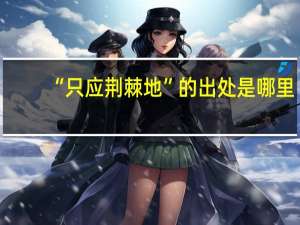 “只应荆棘地”的出处是哪里