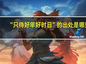“只待好年好时日”的出处是哪里