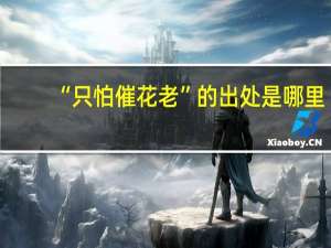 “只怕催花老”的出处是哪里