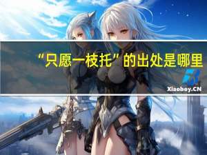“只愿一枝托”的出处是哪里