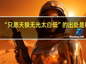 “只愿天狼无光太白低”的出处是哪里