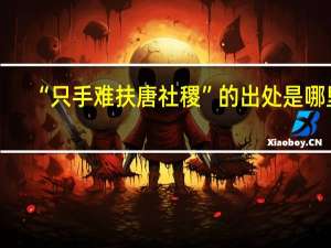 “只手难扶唐社稷”的出处是哪里