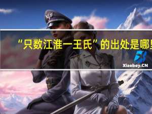 “只数江淮一王氏”的出处是哪里