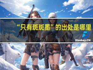 “只有斑斑墨”的出处是哪里