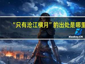 “只有沧江横月”的出处是哪里