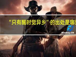 “只有醒时觉异乡”的出处是哪里