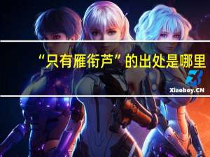 “只有雁衔芦”的出处是哪里
