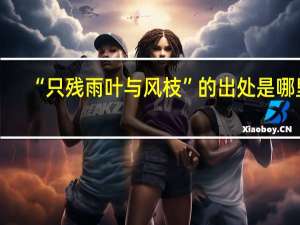 “只残雨叶与风枝”的出处是哪里