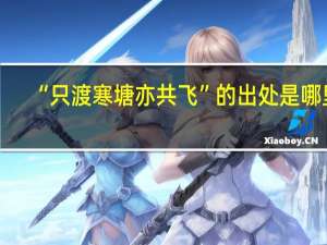 “只渡寒塘亦共飞”的出处是哪里