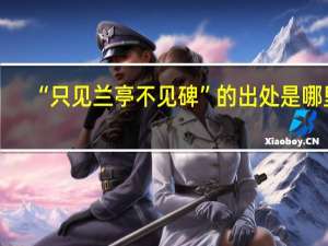 “只见兰亭不见碑”的出处是哪里