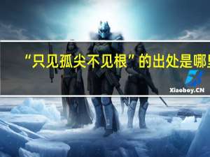 “只见孤尖不见根”的出处是哪里