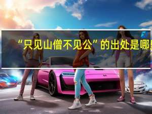 “只见山僧不见公”的出处是哪里