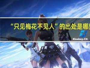 “只见梅花不见人”的出处是哪里