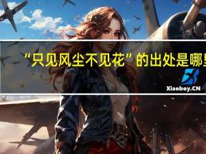 “只见风尘不见花”的出处是哪里