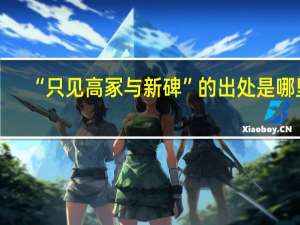 “只见高冢与新碑”的出处是哪里