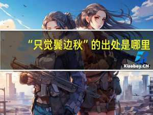 “只觉鬓边秋”的出处是哪里