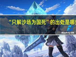 “只解沙场为国死”的出处是哪里