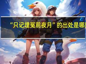 “只记埋冤前夜月”的出处是哪里