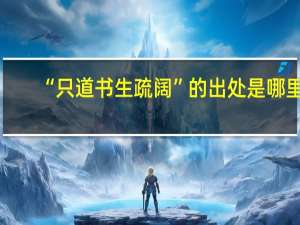 “只道书生疏阔”的出处是哪里