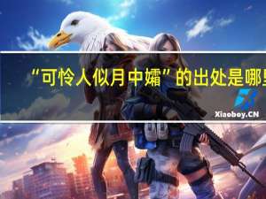“可怜人似月中孀”的出处是哪里