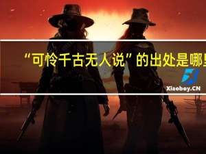 “可怜千古无人说”的出处是哪里