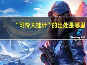 “可怜太拙计”的出处是哪里