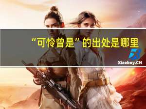 “可怜曾是”的出处是哪里